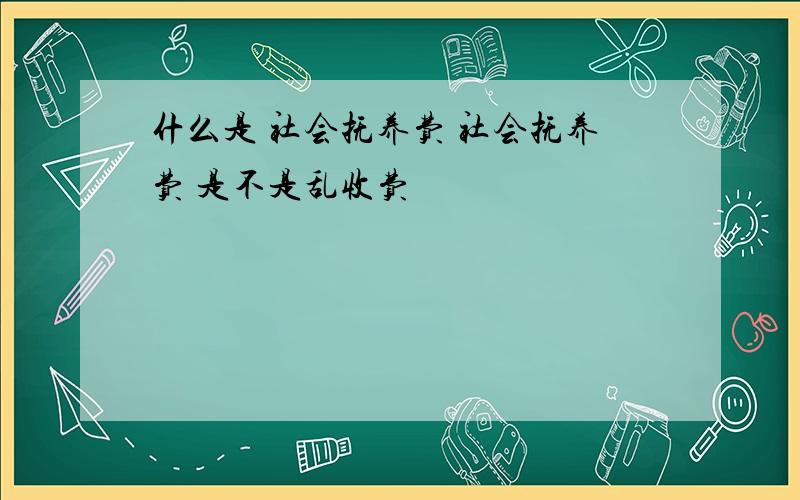 什么是 社会抚养费 社会抚养费 是不是乱收费