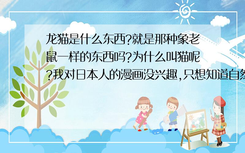 龙猫是什么东西?就是那种象老鼠一样的东西吗?为什么叫猫呢?我对日本人的漫画没兴趣,只想知道自然界中有这种生物吗?属什么科