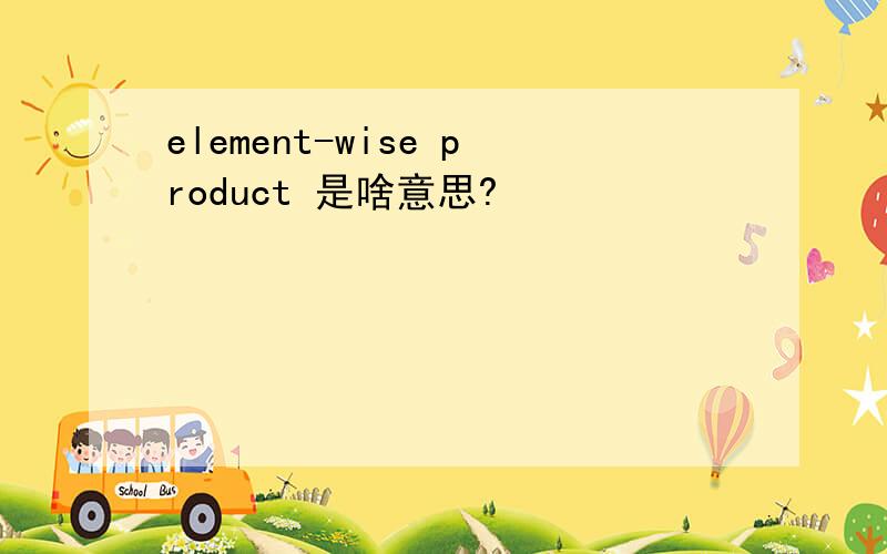 element-wise product 是啥意思?