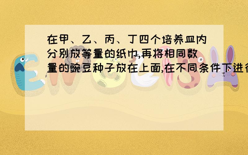 在甲、乙、丙、丁四个培养皿内分别放等量的纸巾,再将相同数量的豌豆种子放在上面,在不同条件下进行培养