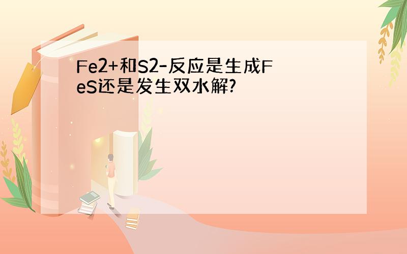 Fe2+和S2-反应是生成FeS还是发生双水解?