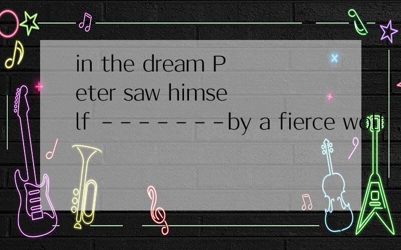 in the dream Peter saw himself -------by a fierce wolf ,and