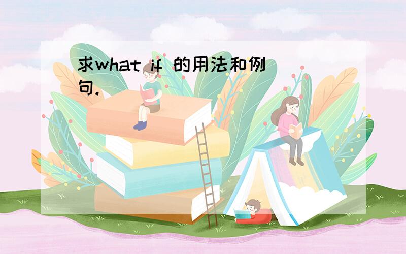 求what if 的用法和例句.