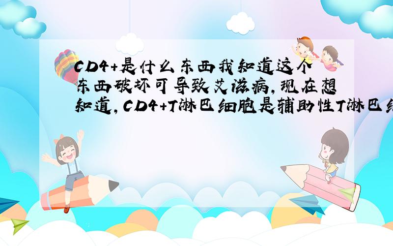 CD4＋是什么东西我知道这个东西破坏可导致艾滋病,现在想知道,CD4+T淋巴细胞是辅助性T淋巴细胞呢,还是抑制性T淋巴细