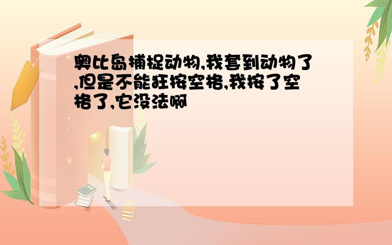 奥比岛捕捉动物,我套到动物了,但是不能狂按空格,我按了空格了,它没法啊