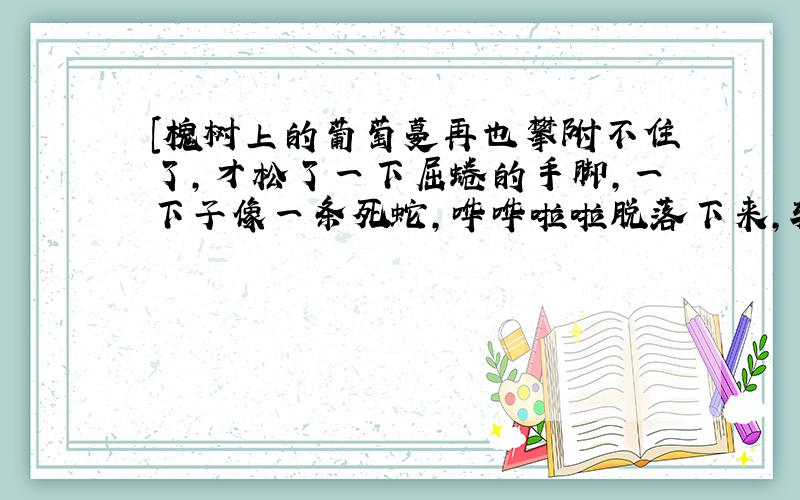 [槐树上的葡萄蔓再也攀附不住了,才松了一下屈蜷的手脚,一下子像一条死蛇,哗哗啦啦脱落下来,软成一堆.无数的苍蝇都集中在屋