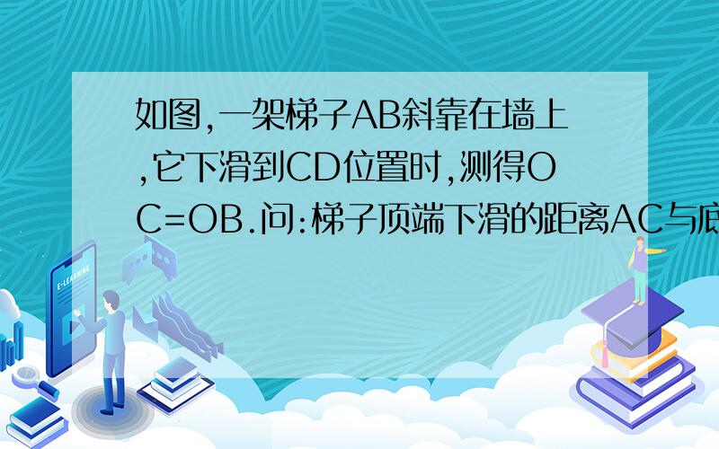 如图,一架梯子AB斜靠在墙上,它下滑到CD位置时,测得OC=OB.问:梯子顶端下滑的距离AC与底端滑行的距离BD相等吗?