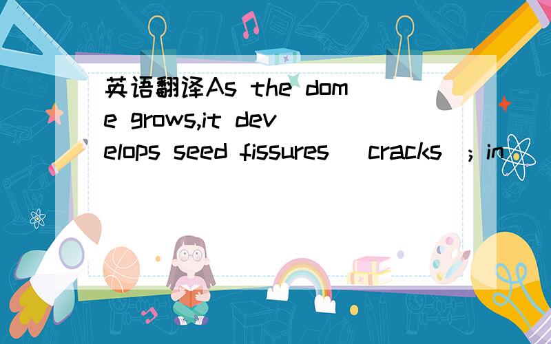 英语翻译As the dome grows,it develops seed fissures (cracks); in