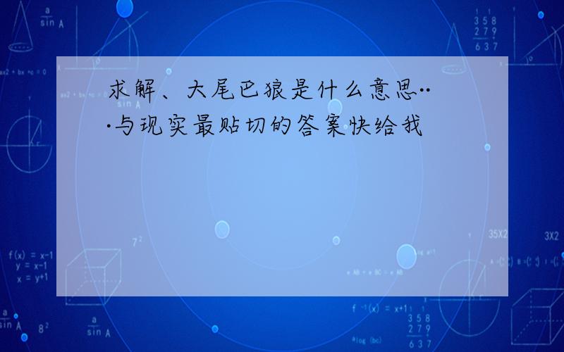 求解、大尾巴狼是什么意思···与现实最贴切的答案快给我