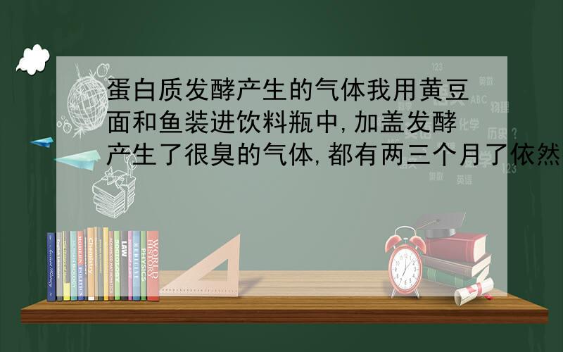 蛋白质发酵产生的气体我用黄豆面和鱼装进饮料瓶中,加盖发酵产生了很臭的气体,都有两三个月了依然很臭.今天我将瓶中倒入少量8