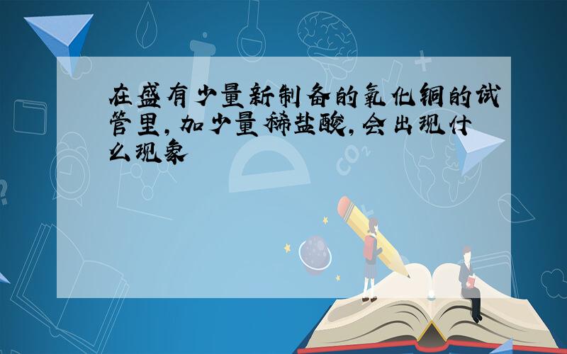 在盛有少量新制备的氧化铜的试管里,加少量稀盐酸,会出现什么现象