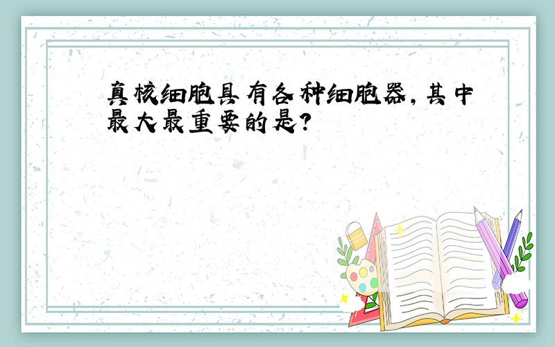 真核细胞具有各种细胞器,其中最大最重要的是?