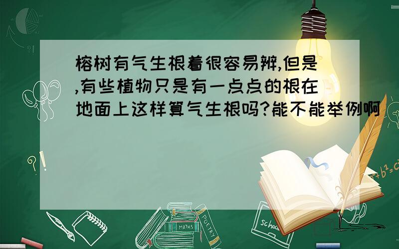 榕树有气生根着很容易辨,但是,有些植物只是有一点点的根在地面上这样算气生根吗?能不能举例啊