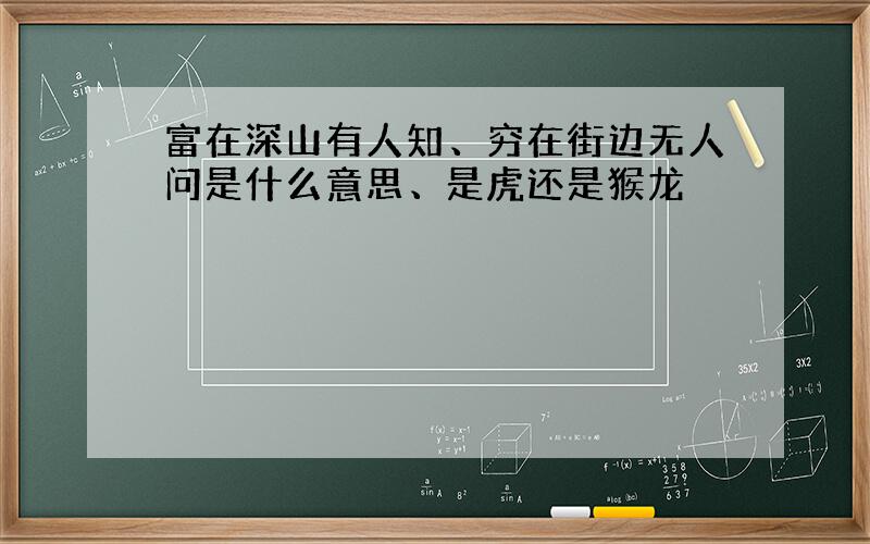 富在深山有人知、穷在街边无人问是什么意思、是虎还是猴龙