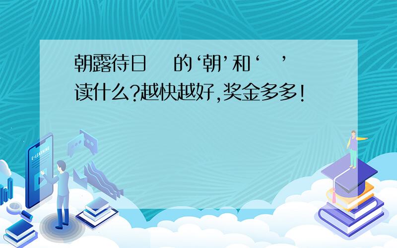 朝露待日晞 的‘朝’和‘晞’读什么?越快越好,奖金多多!