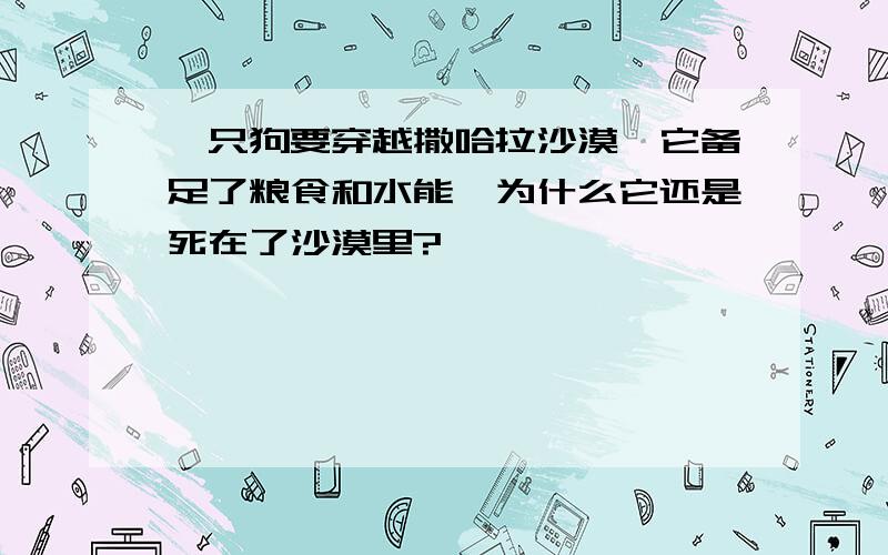 一只狗要穿越撒哈拉沙漠,它备足了粮食和水能,为什么它还是死在了沙漠里?