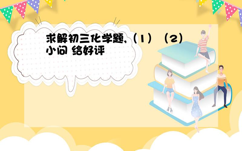 求解初三化学题,（1）（2）小问 给好评