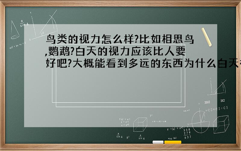 鸟类的视力怎么样?比如相思鸟,鹦鹉?白天的视力应该比人要好吧?大概能看到多远的东西为什么白天视力那么好.晚上却像个瞎子