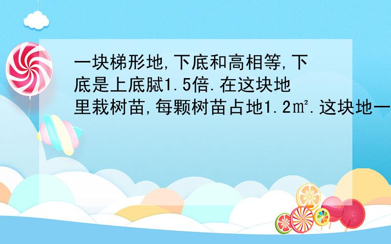 一块梯形地,下底和高相等,下底是上底脦1.5倍.在这块地里栽树苗,每颗树苗占地1.2㎡.这块地一共可以栽