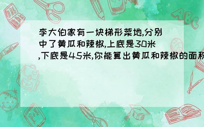 李大伯家有一块梯形菜地,分别中了黄瓜和辣椒,上底是30米,下底是45米,你能算出黄瓜和辣椒的面积?