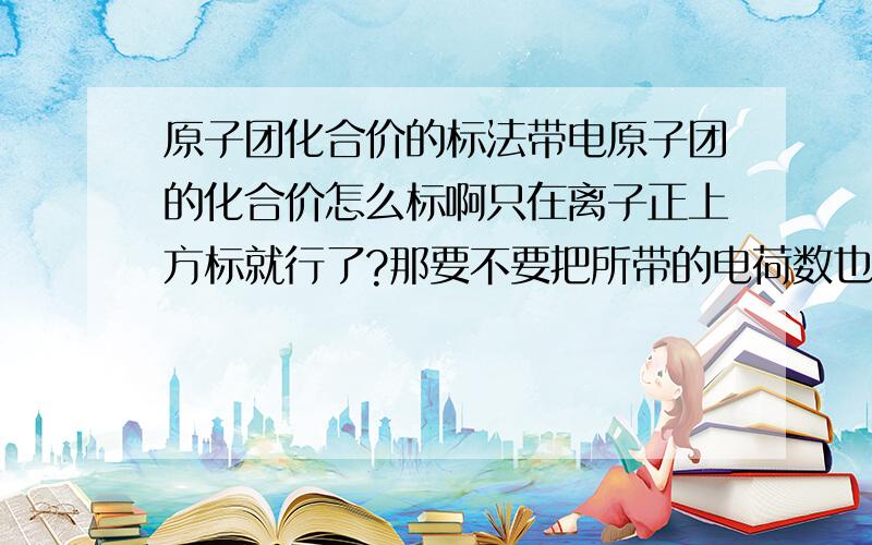 原子团化合价的标法带电原子团的化合价怎么标啊只在离子正上方标就行了?那要不要把所带的电荷数也标上?（以下内容如果错位了就