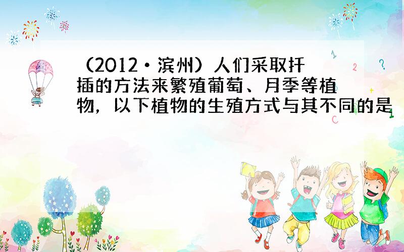 （2012•滨州）人们采取扦插的方法来繁殖葡萄、月季等植物，以下植物的生殖方式与其不同的是（　　）