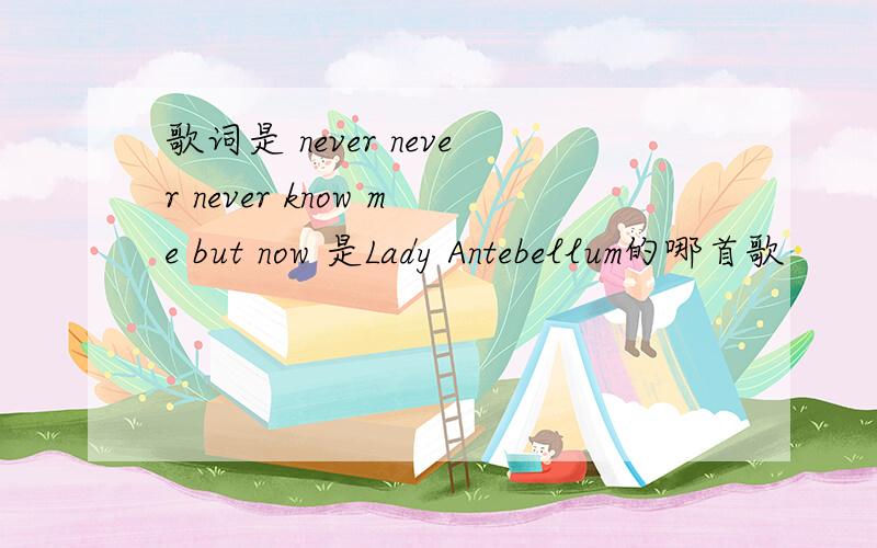 歌词是 never never never know me but now 是Lady Antebellum的哪首歌