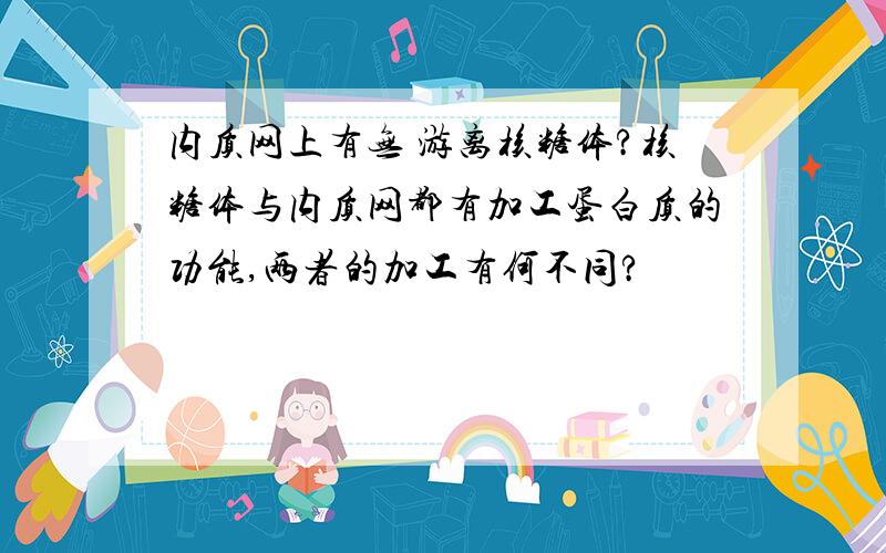 内质网上有无 游离核糖体?核糖体与内质网都有加工蛋白质的功能,两者的加工有何不同?