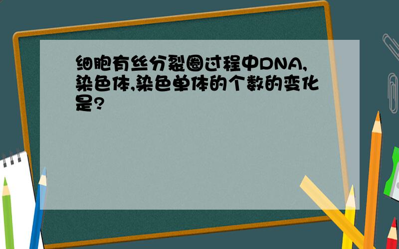 细胞有丝分裂圈过程中DNA,染色体,染色单体的个数的变化是?