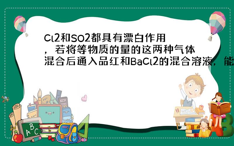 Cl2和SO2都具有漂白作用，若将等物质的量的这两种气体混合后通入品红和BaCl2的混合溶液，能观察到的现象是（　　）