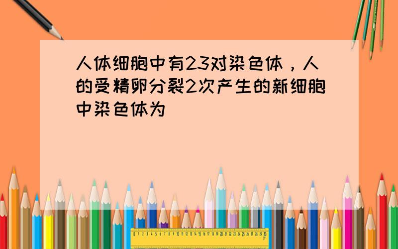 人体细胞中有23对染色体，人的受精卵分裂2次产生的新细胞中染色体为（　　）