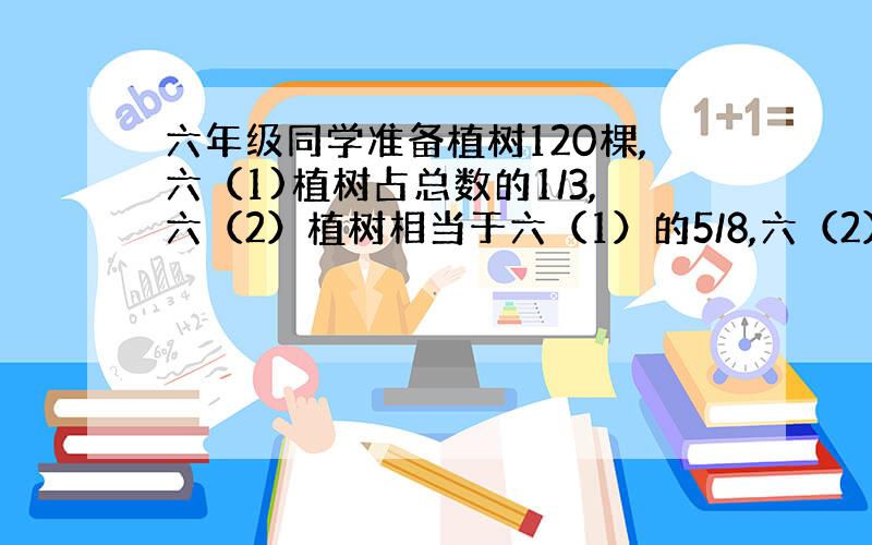 六年级同学准备植树120棵,六（1)植树占总数的1/3,六（2）植树相当于六（1）的5/8,六（2）植树多少棵