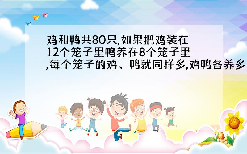 鸡和鸭共80只,如果把鸡装在12个笼子里鸭养在8个笼子里,每个笼子的鸡、鸭就同样多,鸡鸭各养多少只?