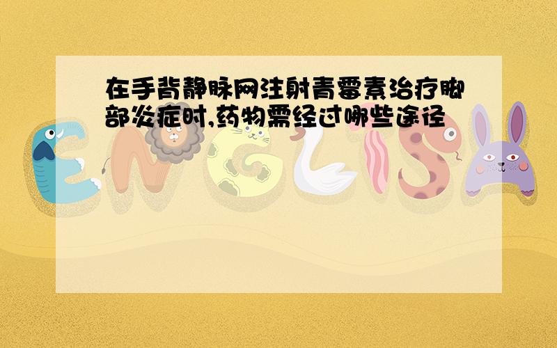 在手背静脉网注射青霉素治疗脚部炎症时,药物需经过哪些途径