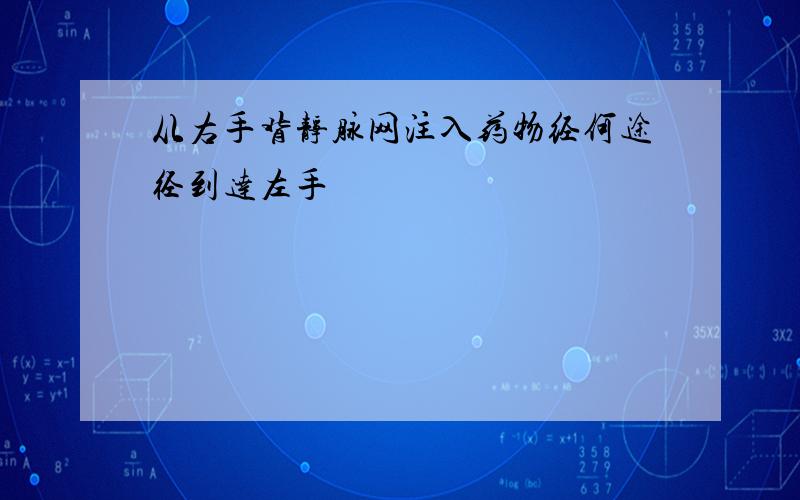 从右手背静脉网注入药物经何途径到达左手