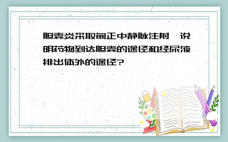 胆囊炎采取肘正中静脉注射,说明药物到达胆囊的途径和经尿液排出体外的途径?