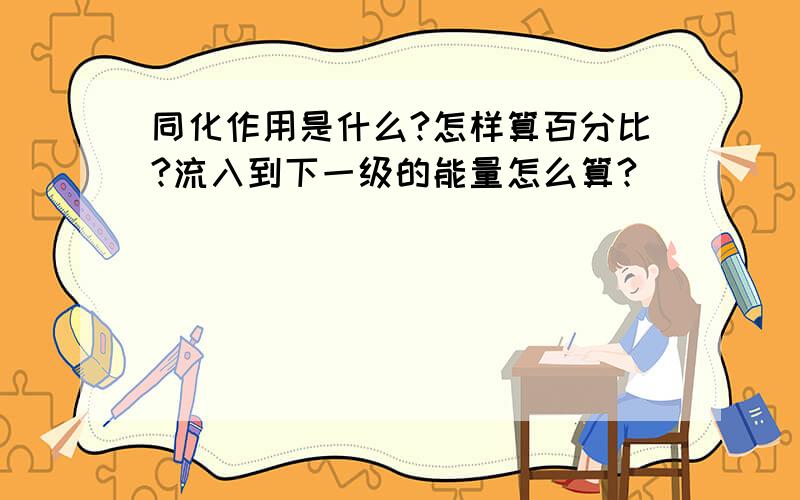 同化作用是什么?怎样算百分比?流入到下一级的能量怎么算?