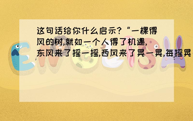 这句话给你什么启示?“一棵得风的树,就如一个人得了机遇,东风来了摇一摇,西风来了晃一晃,每摇晃一次,它的根就往泥土深处扎