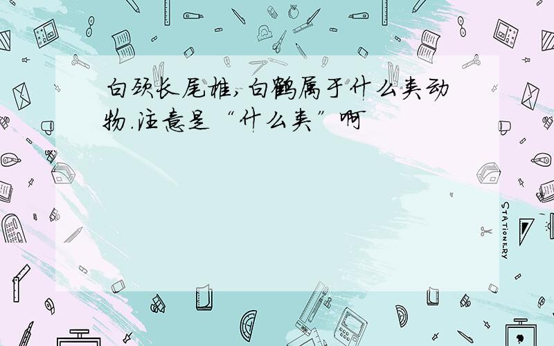 白颈长尾椎,白鹤属于什么类动物.注意是“什么类”啊