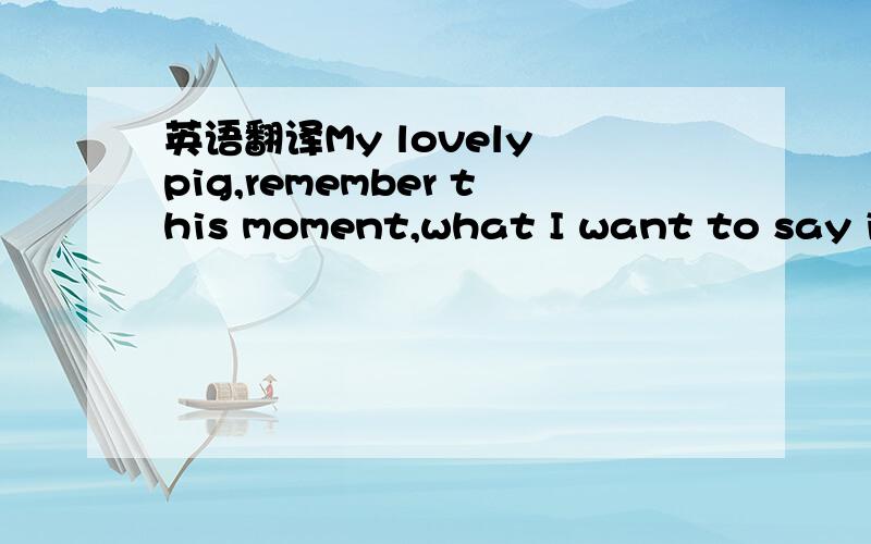 英语翻译My lovely pig,remember this moment,what I want to say is