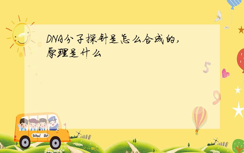 DNA分子探针是怎么合成的,原理是什么