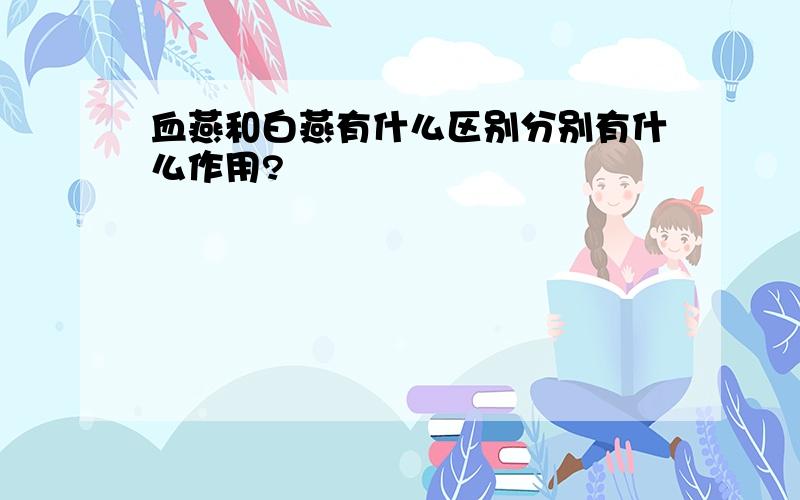 血燕和白燕有什么区别分别有什么作用?