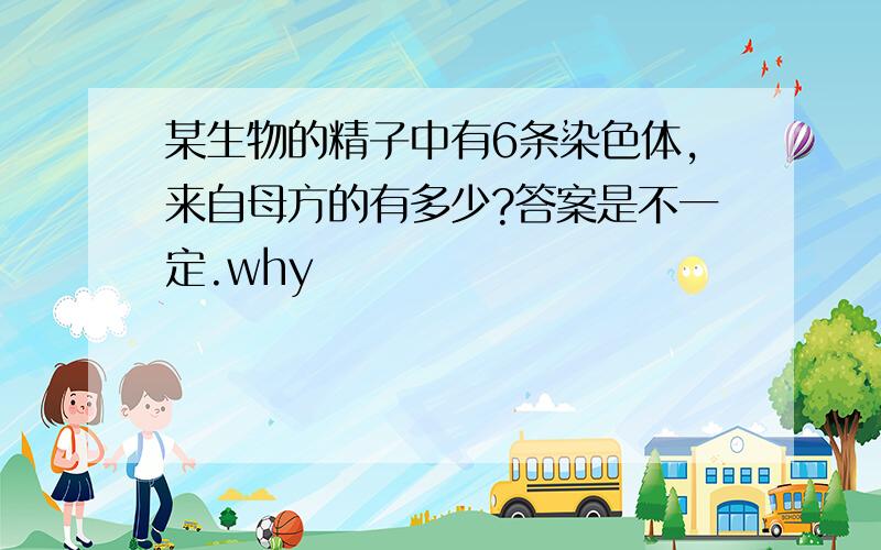 某生物的精子中有6条染色体,来自母方的有多少?答案是不一定.why