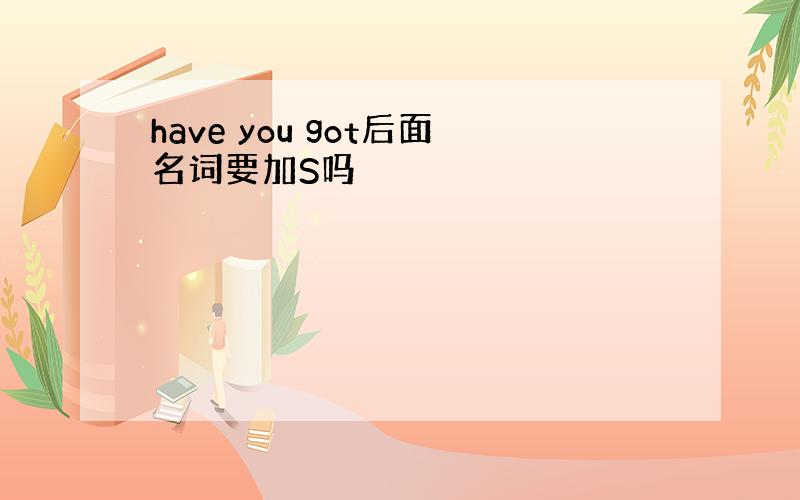 have you got后面名词要加S吗