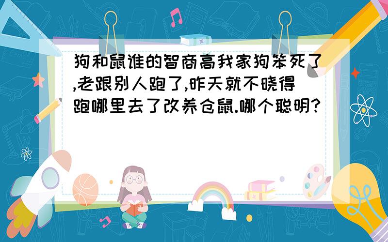 狗和鼠谁的智商高我家狗笨死了,老跟别人跑了,昨天就不晓得跑哪里去了改养仓鼠.哪个聪明?