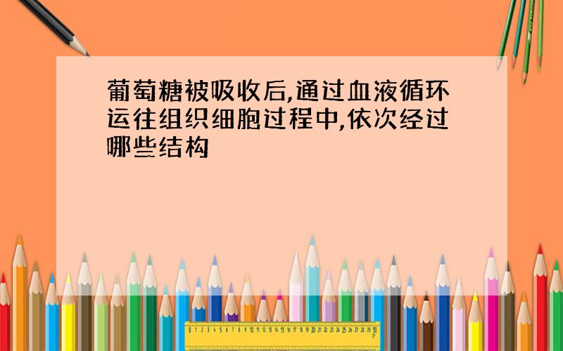 葡萄糖被吸收后,通过血液循环运往组织细胞过程中,依次经过哪些结构