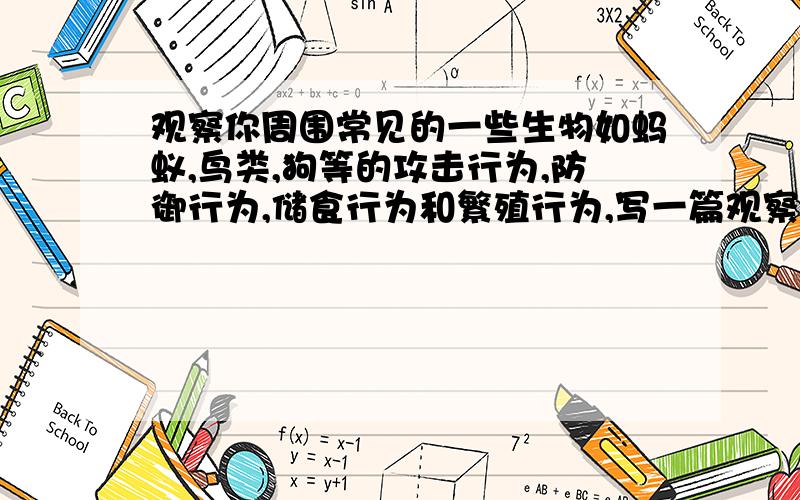 观察你周围常见的一些生物如蚂蚁,鸟类,狗等的攻击行为,防御行为,储食行为和繁殖行为,写一篇观察文章