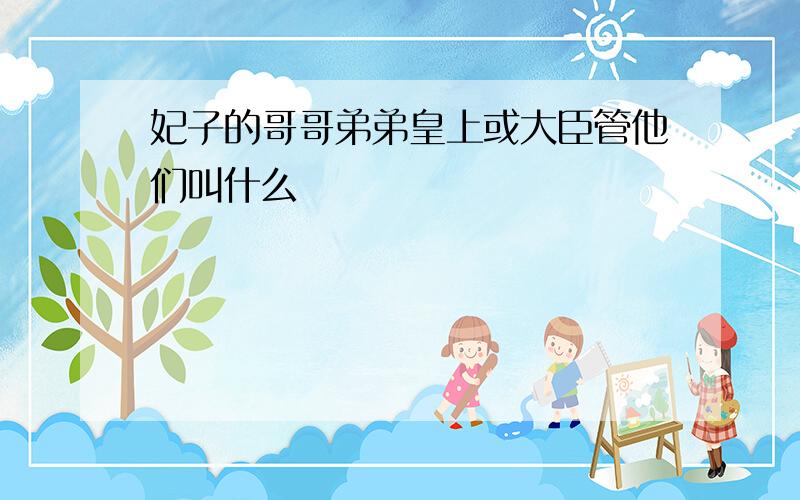 妃子的哥哥弟弟皇上或大臣管他们叫什么