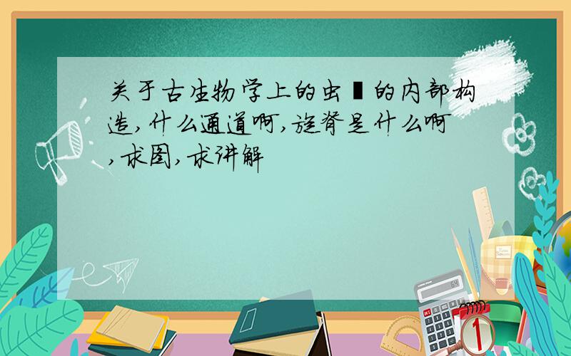 关于古生物学上的虫筳的内部构造,什么通道啊,旋脊是什么啊,求图,求讲解