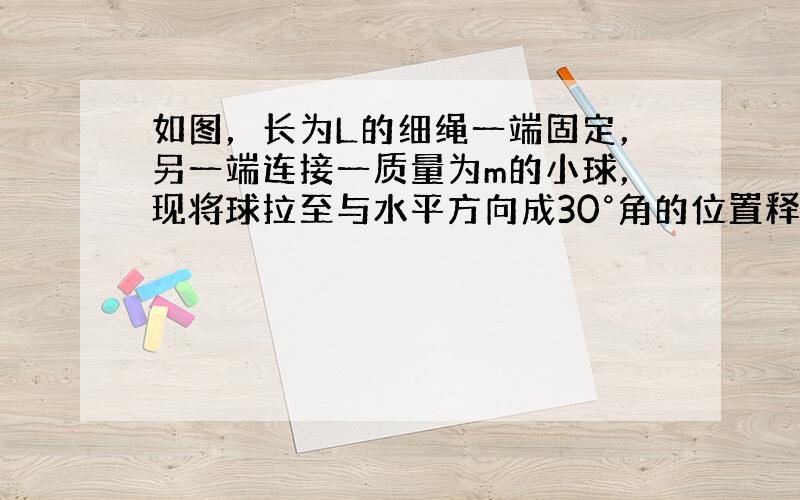 如图，长为L的细绳一端固定，另一端连接一质量为m的小球，现将球拉至与水平方向成30°角的位置释放小球（绳刚好拉直），求小